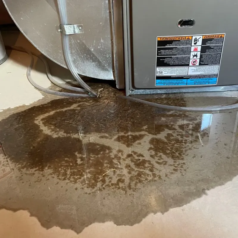 Pipe Burst and Leak Restoration in Mendon, UT